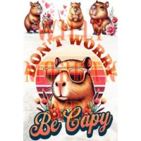 Capibara 7